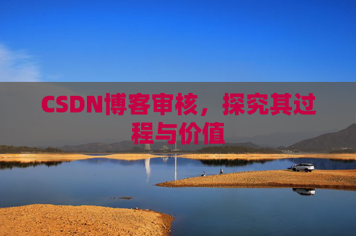 CSDN博客审核，探究其过程与价值